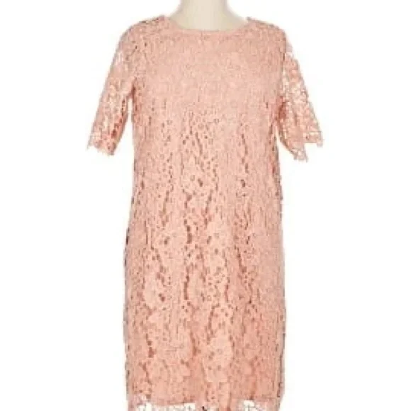 Nina Leonard | Dresses | Nina Leonard Blush Lace Midi Dress | Poshmark